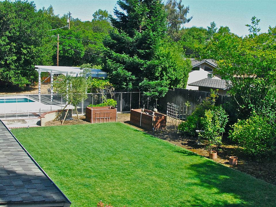 Large backyard