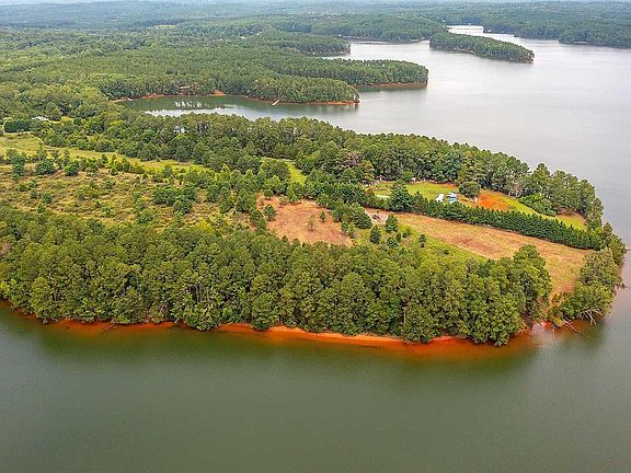Close to Palmetto Trail.