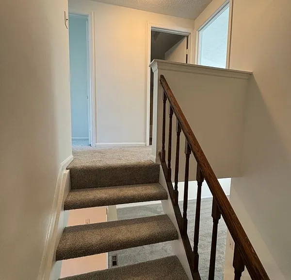 9730 Red Clover Ct — Photo 10