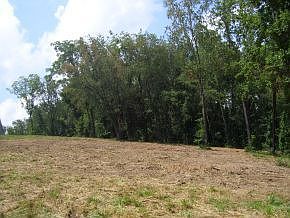 2nd image of Tbd Cloudview Rd