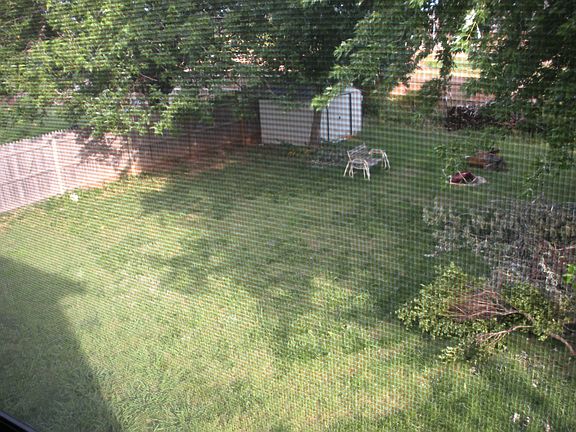 Backyard from second floor