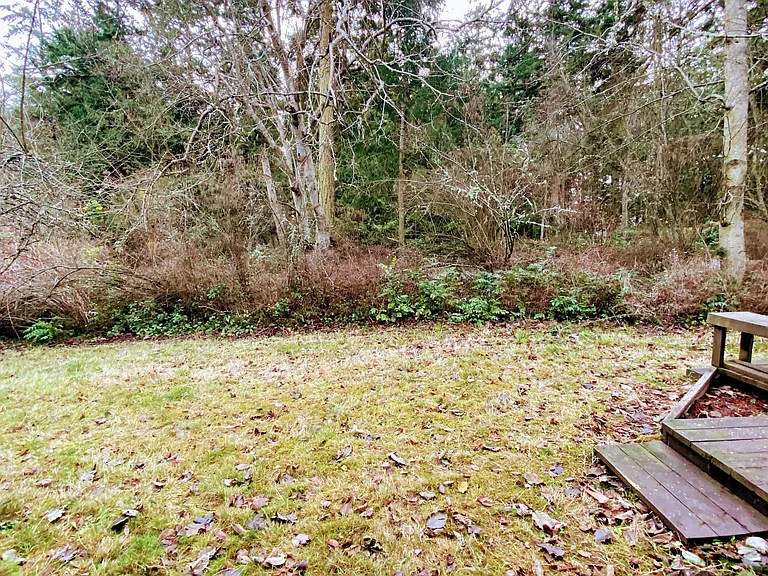Queen Anne Pl — Photo 19