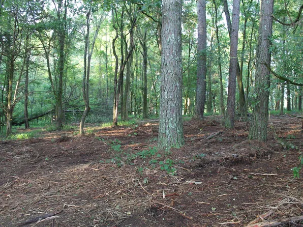 1 Lick Creek Rd, Michie, TN 38357