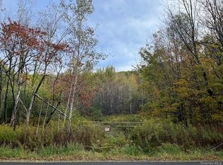 Ferndale Loomis Road NE, Liberty, NY 12754