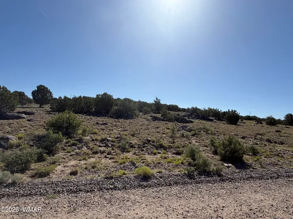 49 Windsor Valley Ranch Dr, Concho, AZ 85924