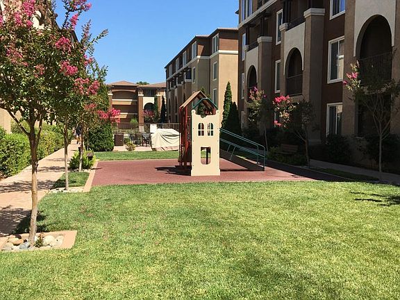 lawn and pool