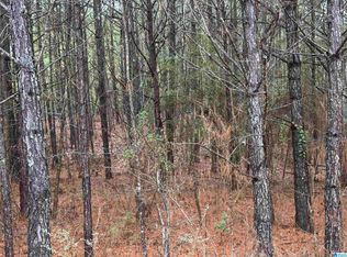 240 Willow Ln #4, Vincent, AL 35178