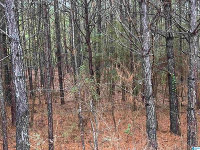 240 Willow Ln #4, Vincent, AL, 35178