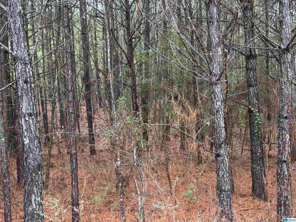 240 Willow Ln #4, Vincent, AL 35178