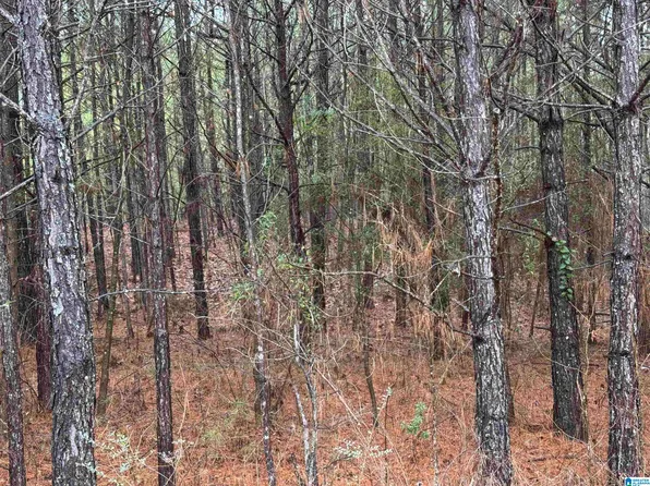 240 Willow Ln #4, Vincent, AL 35178