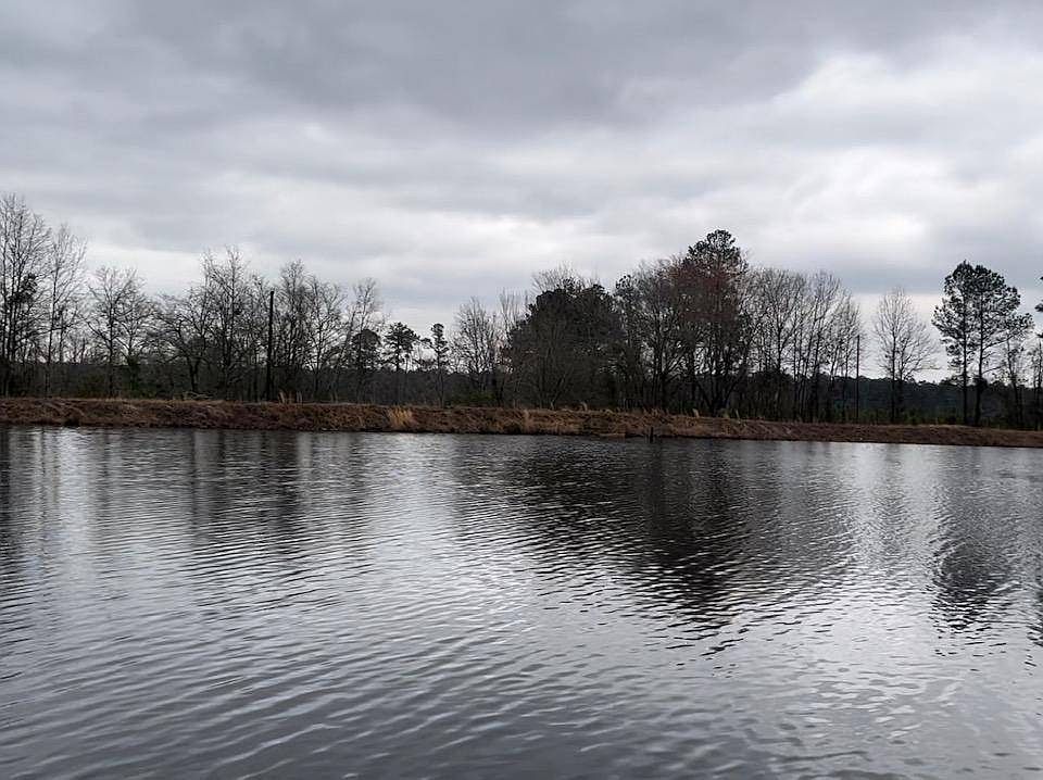 0 Highway 321, Neeses, SC 29107 Zillow