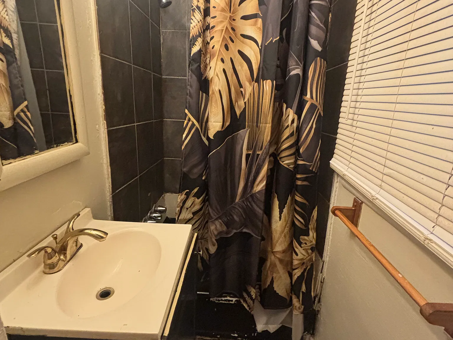 2 bed, $875 — Photo 4