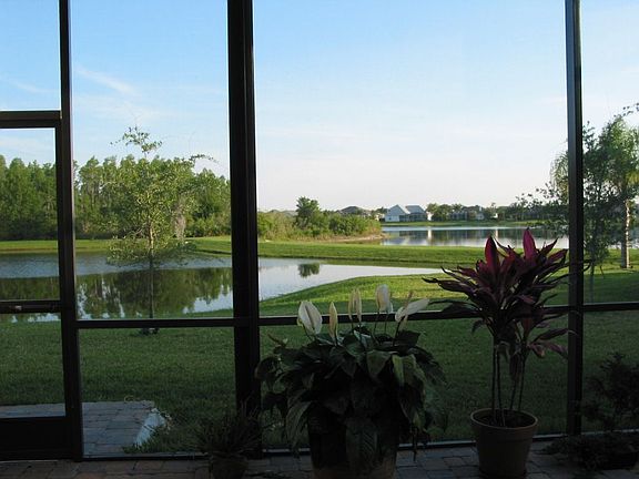 Lakefront 