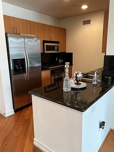 525 11th Ave #1409 Photo 1