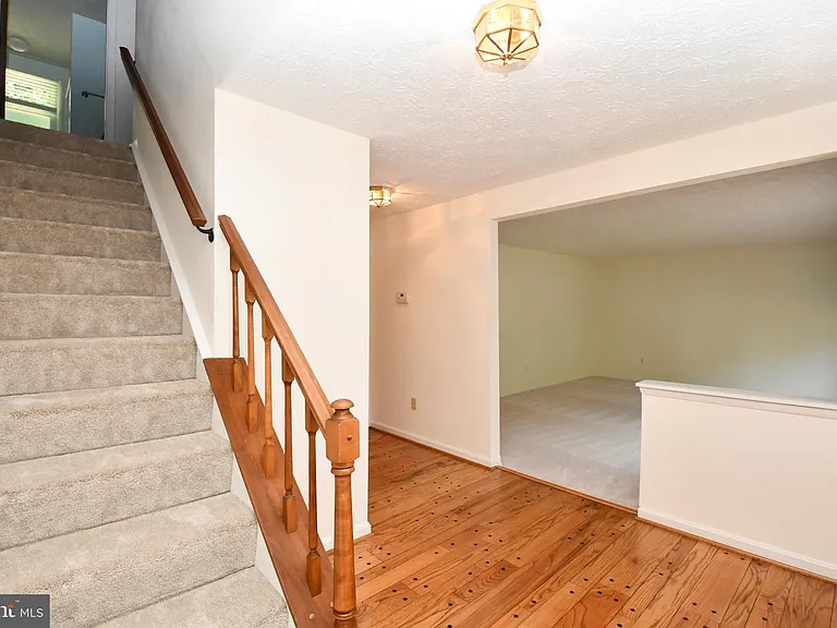 8017 Diving Cliff Ln — Photo 3
