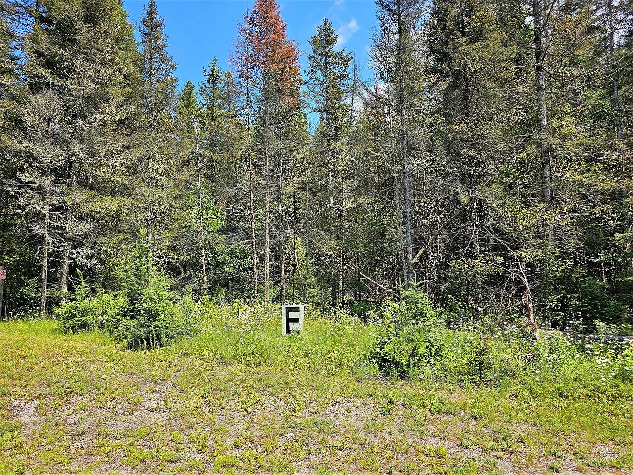 3680 E Homers Rd, Mercer, WI 54547 MLS 202494 Zillow