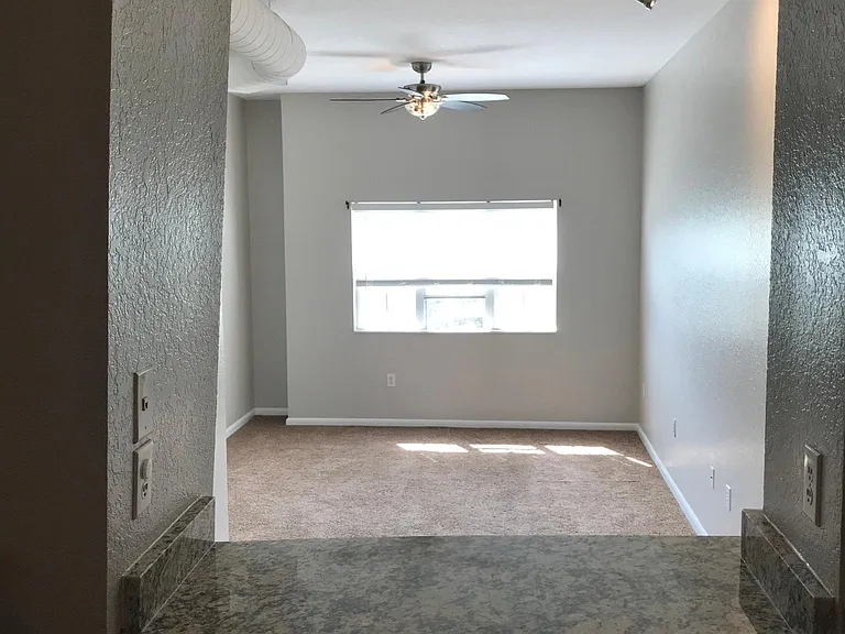 520 S Armenia Ave #1239G — Photo 5