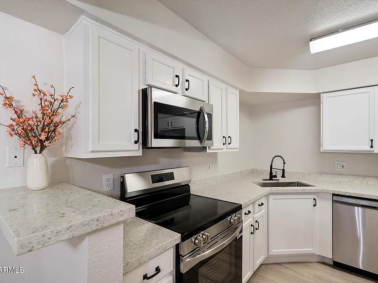 8787 E Mountain View Rd #1106 — Photo 11