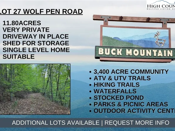 Lot 27 Wolf Pen Road, Purlear, NC 28665