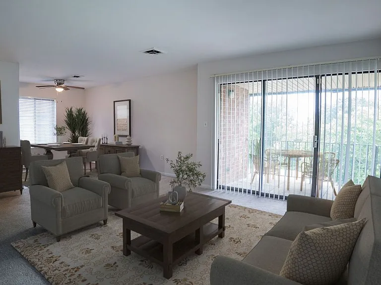 Living Room View