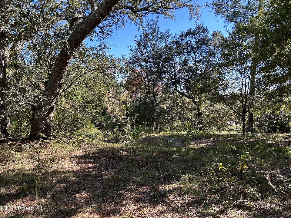 2nd image of 0 Robert Hiram Dr