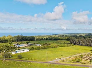 29-613 CHIN CHUCK RD, Hakalau, HI 96710