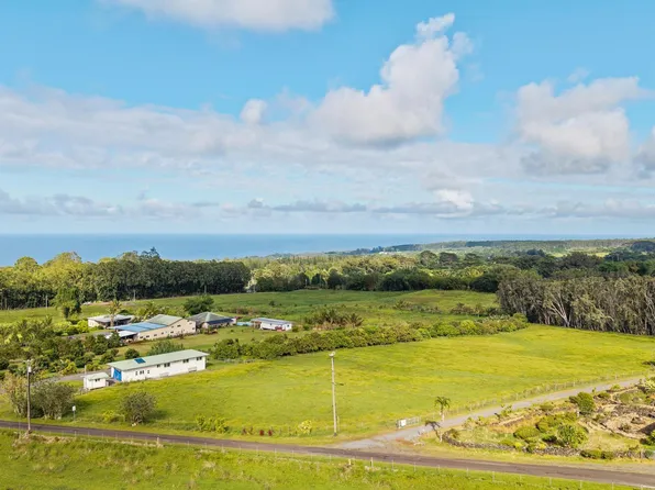 29-613 CHIN CHUCK RD, Hakalau, HI 96710
