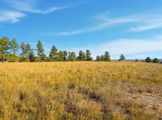 Lot17c W Minnesota St, Rapid City, SD 57701