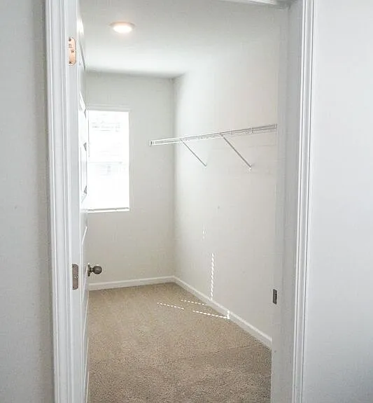 418 Coconut Dr — Photo 22