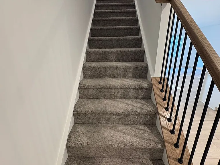 19 Napier Ct — Photo 12