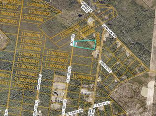 Tr-48 Cactus Road, Boiling Spring Lakes, NC 28461