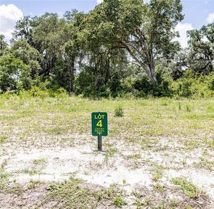 1444 Oxford Preserve, Oxford, FL, 34484