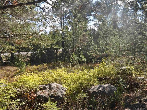 4th image of 772 Diamond Dr
