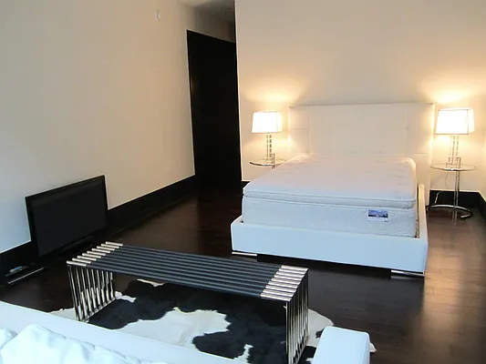 Rented by Synergy NYC | media 23