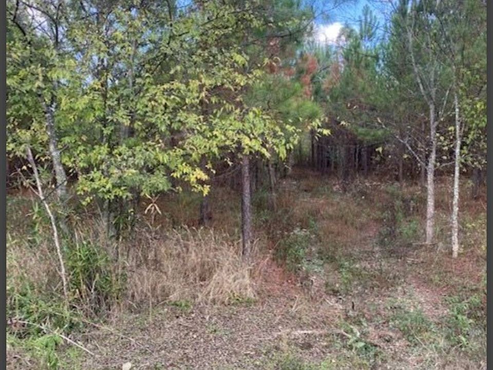 2nd image of 35 Hidden Pines Loop
