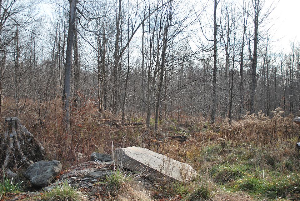 1st image of Lot 55 - The Woods At Duck Harbor