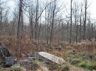 Lot 55 - The Woods At Duck Harbor, Equinunk, PA 18417