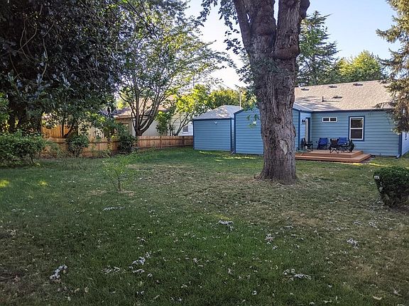 Large fully fenced backyard. Grape vines on the left.