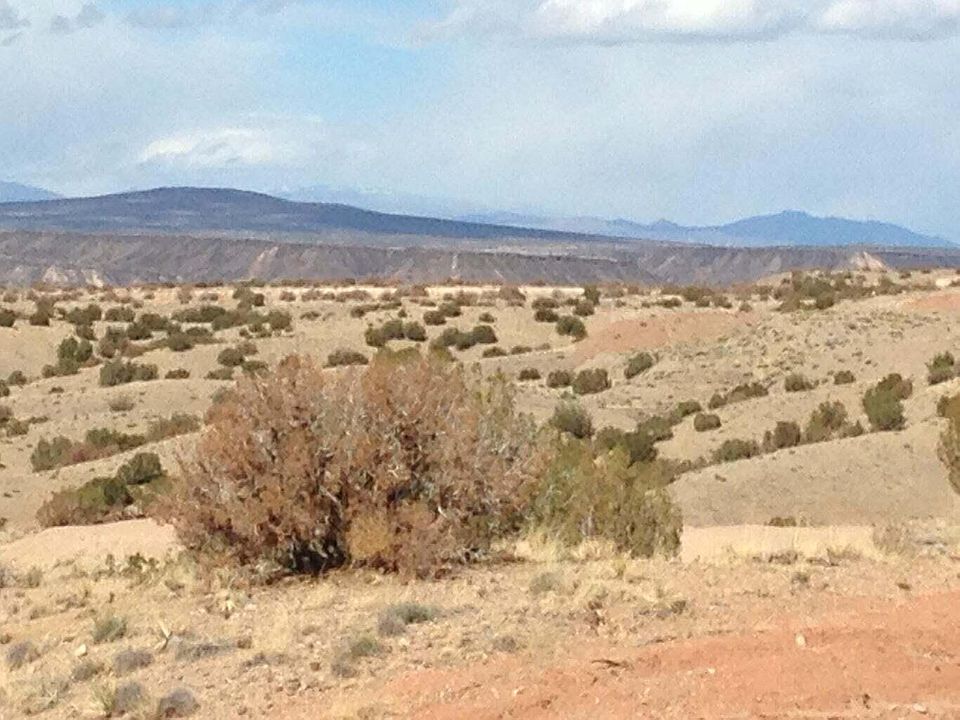 1st image of Mimbres Ct