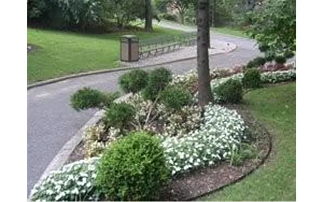 Sold by Douglas Elliman | media 30