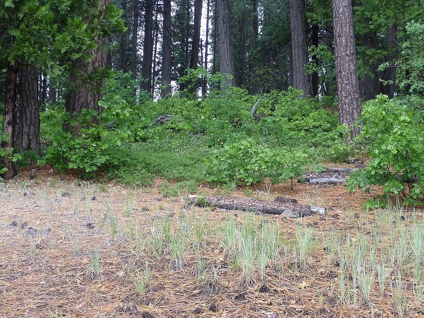 2nd image of 2618 Hwy 4