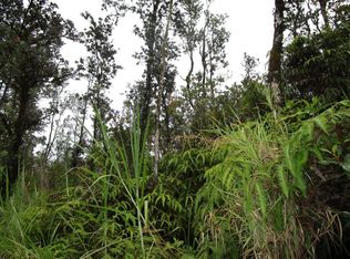 Uhini Ana Rd #1, Mountain View, HI 96771