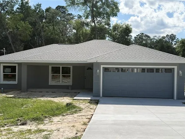 6 Bay Pass Ter, Ocklawaha, FL 32179