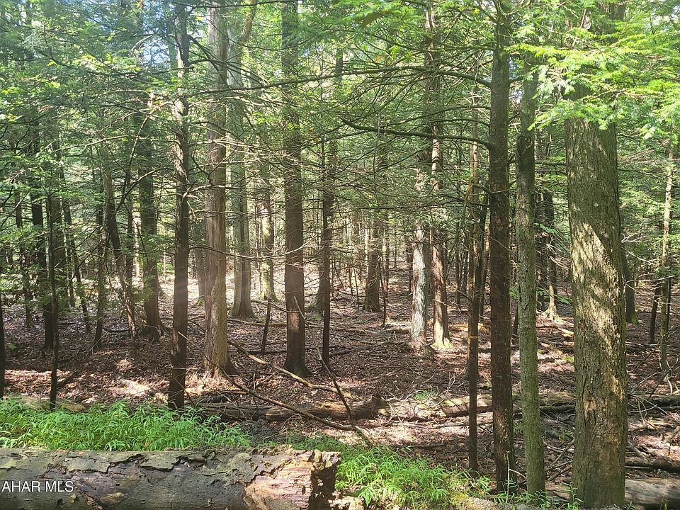 2nd image of 146 Forest Brook Dr