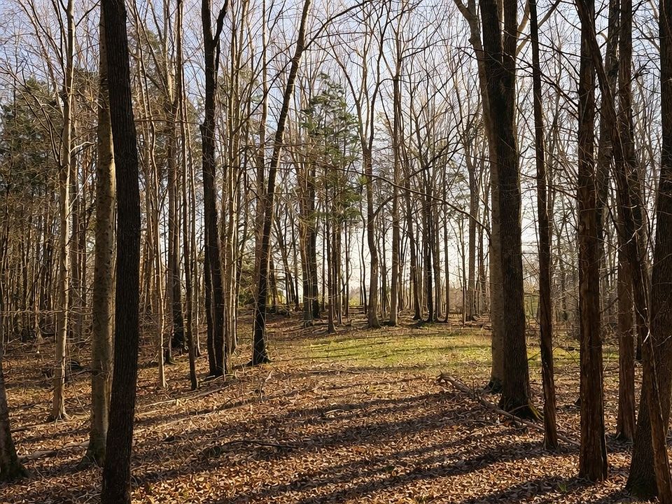 13th image of this home