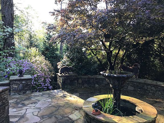 The patio & mature landscape