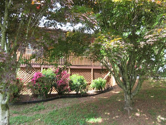 4th image of 486 Hidden Pines Ct
