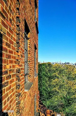 Rented by Citi Habitats | media 14