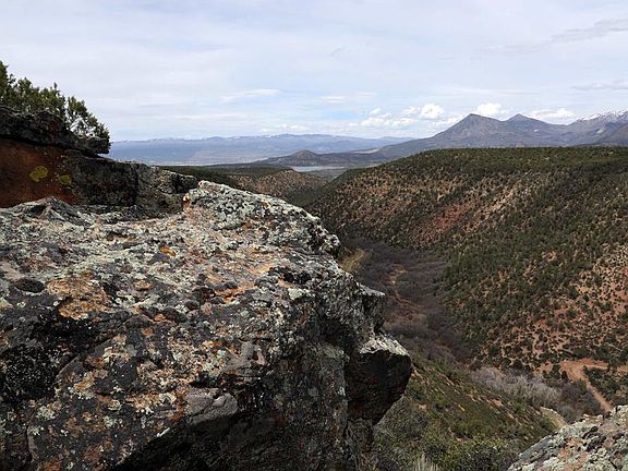 4th image of TBD BLM Road