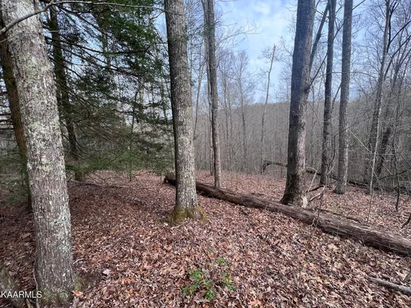3320 Chapel Hill Rd, Crawford, TN 38554
